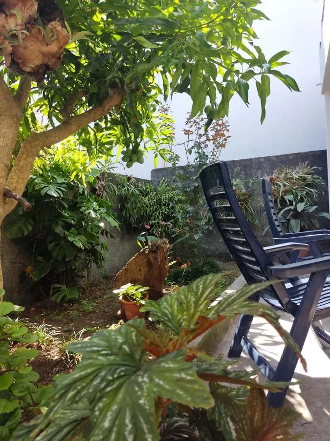 Casa Da Avo Rosa Apartment Sao Vicente  Homestay Sao Vicente (Madeira)